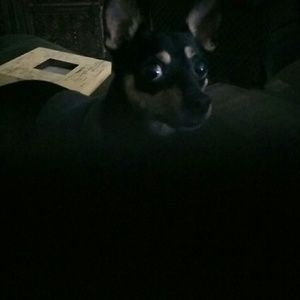 Meet your Posher, Alfonzo