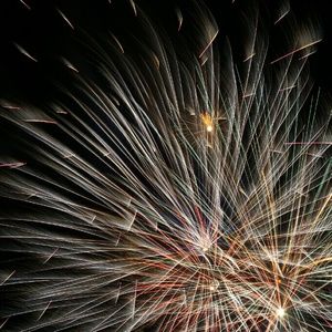 Meet your Posher, Bridgette