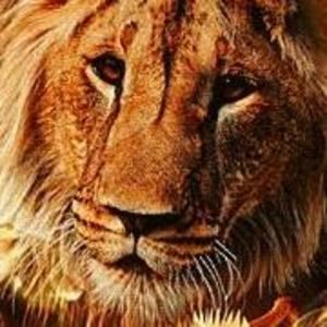 Meet your Posher, Ana