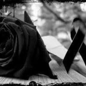 Meet your Posher, Wilmary