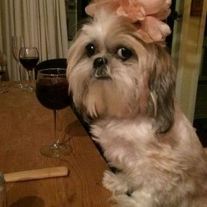 Meet your Posher, Karen