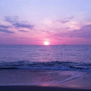 Meet your Posher, Regina