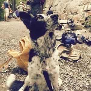 Meet your Posher, Jasmine