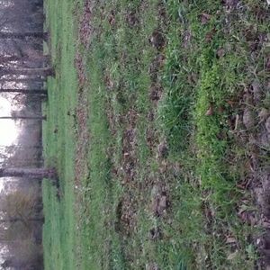 Meet your Posher, Nathaneil