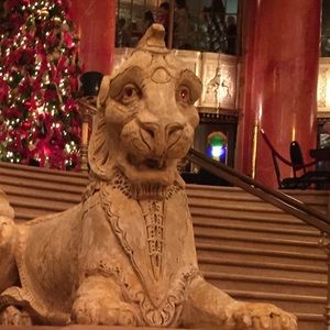 Meet your Posher, Terry