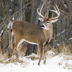 Meet your Posher, Derek