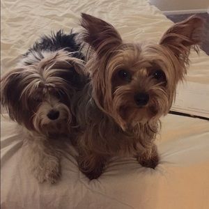 Meet your Posher, Joanna