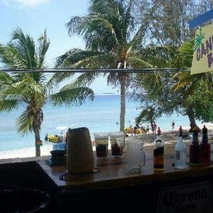 Meet your Posher, Trisha