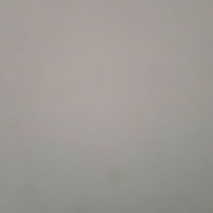 Meet your Posher, Milly