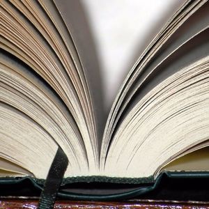 Meet your Posher, Shawn