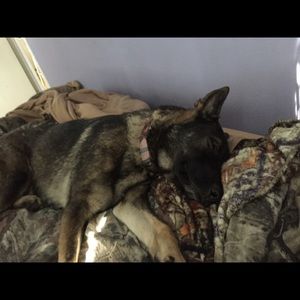 Meet your Posher, Joele