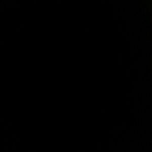 Meet your Posher, Genesis