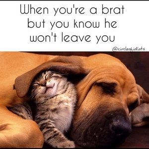 Meet your Posher, Jessie