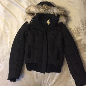 Winter Jacket