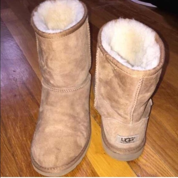 Chestnut Uggs