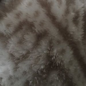 Meet your Posher, Kati