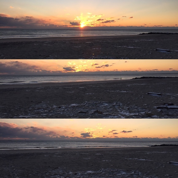 Meet your Posher, Josie