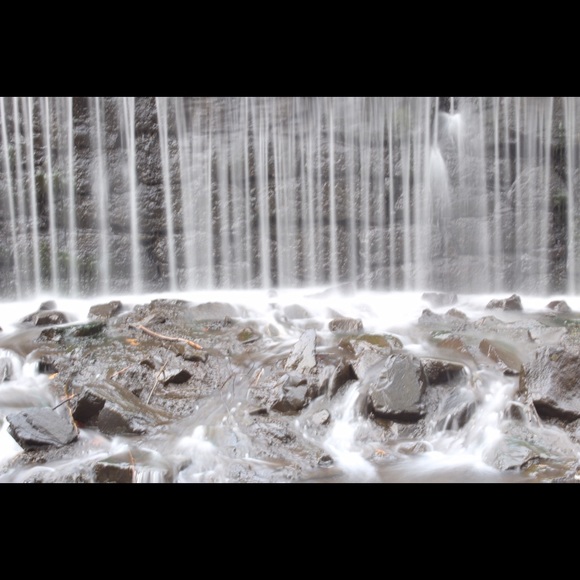 Meet your posher! - Picture 2 of 2