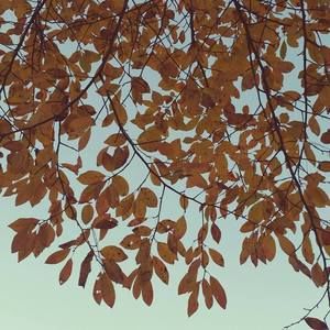 Meet your Posher, Miranda