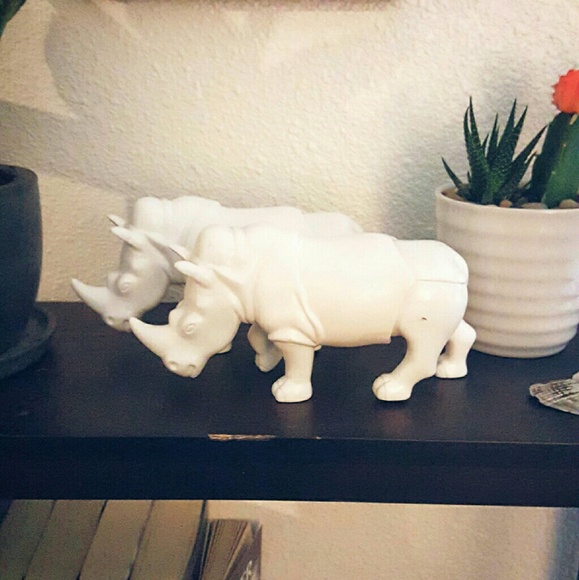Ecko Rhinos