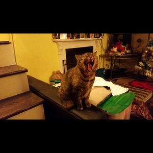 Meet your Posher, Andrea