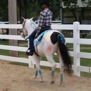 Meet your Posher, Sydney