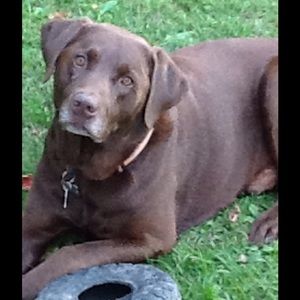 Meet your Posher, Mary ellen