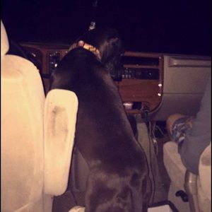 Meet your Posher, Jewels