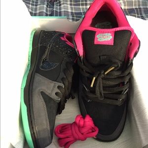 Nike SB "Premier northern lights"