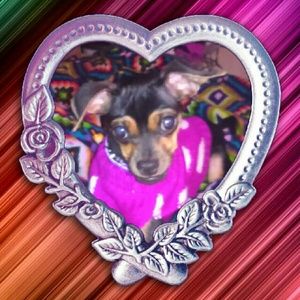 Meet your Posher, Cindy