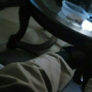 Meet your Posher, Ernesto