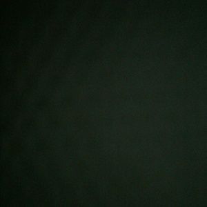 Meet your Posher, Dani