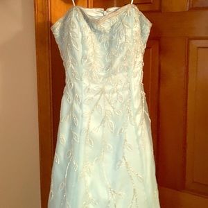 Long beautiful gown