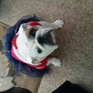 Meet your Posher, Misty