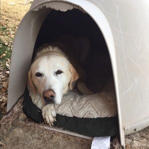 Meet your Posher, Evan