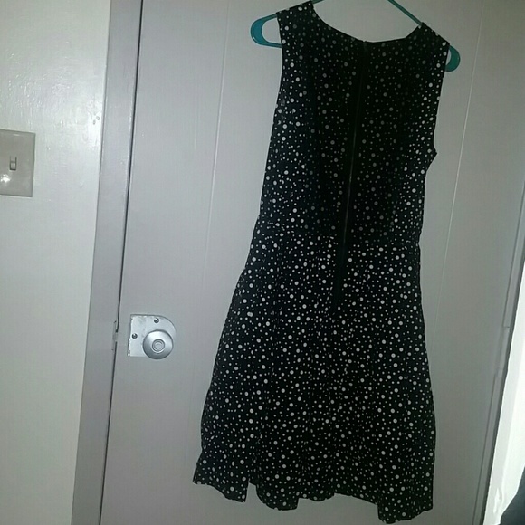Black Polka dot Dress - Picture 2 of 3