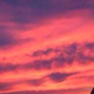 Meet your Posher, Gibbs