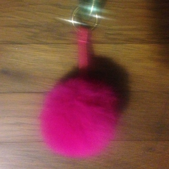 Keychain, purse accessory