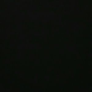 Meet your Posher, Torres