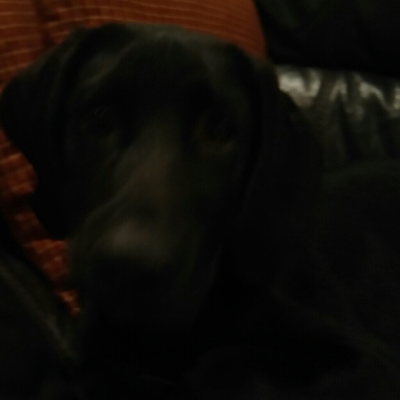 Meet your Posher, Dustin - Picture 1 of 1