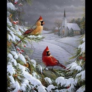 Meet your Posher, Shanna