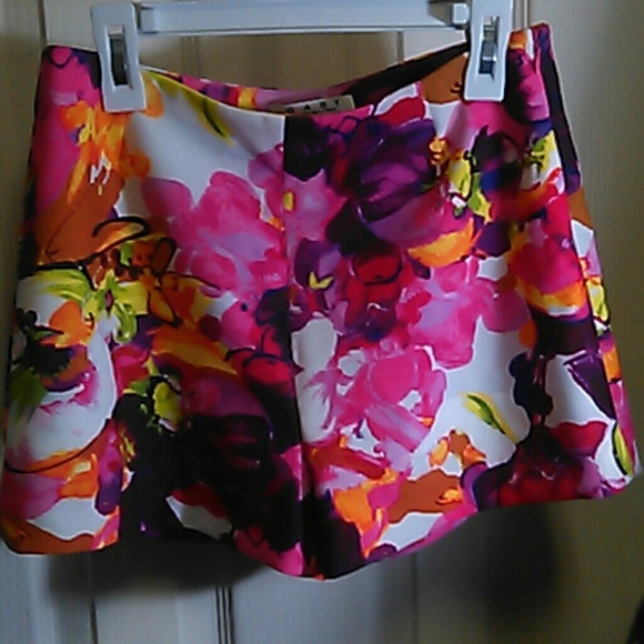 Shorts - Picture 1 of 2