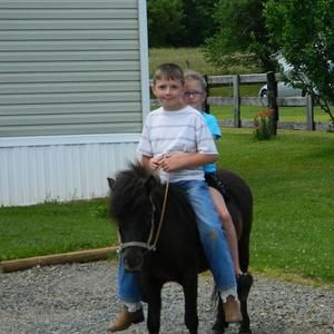 Meet your Posher, Haley