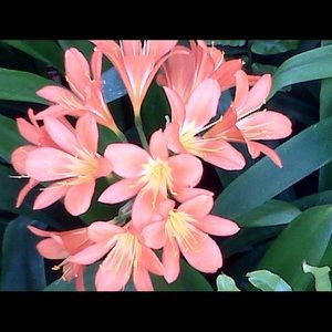 Meet your Posher, Jae