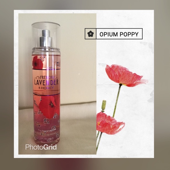 Bath and Body Works Bundle