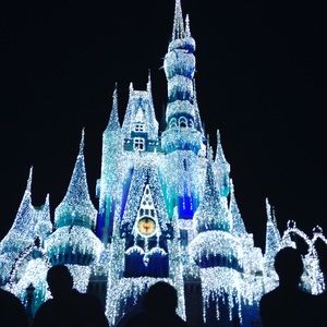 Meet your Posher, Cheyenne