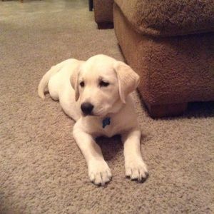 Meet your Posher, Twyla