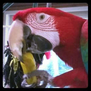 Meet your Posher, Denise