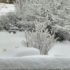 Meet your Posher, Lance