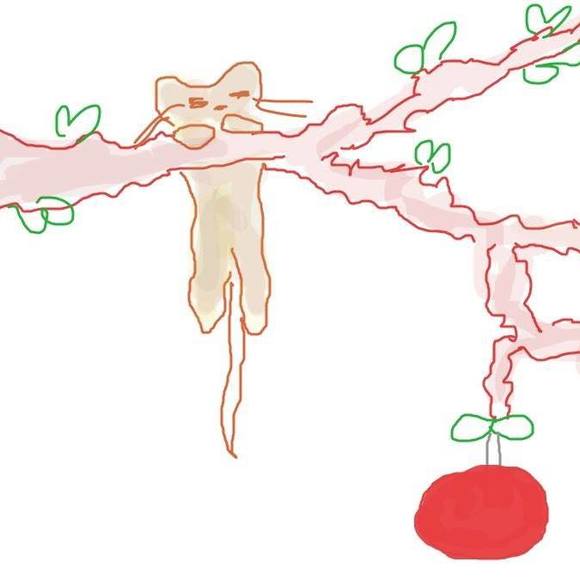 Meet your Posher, Anais